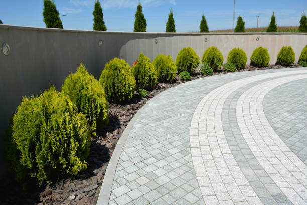 Driveway Repair Near Me in Marshfield, MO